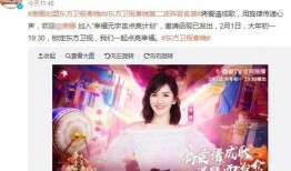 谢娜最新爆料视频,揭秘娱乐圈不为人知的幕后故事