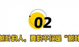 东方树叶最新爆料视频下载,神秘视频揭秘茶叶新境界
